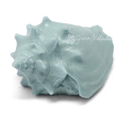 Molde para hacer jabon y velas Concha Marina molusco.