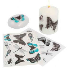 Stickers de bichos Stickers de bichos