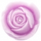 Rose flower mold