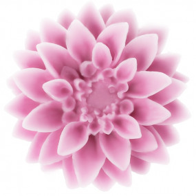 Dahlia flower mold Dahlia flower mold