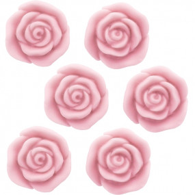 Molde forma 6 rositas clasicas