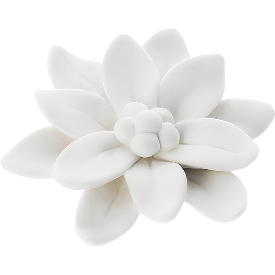 Lotus flower mold