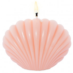 Shell mold for candles Shell mold for candles