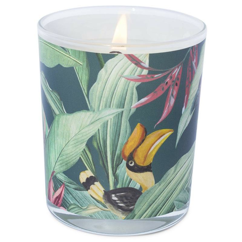 Pegatinas jungla para velas en vaso