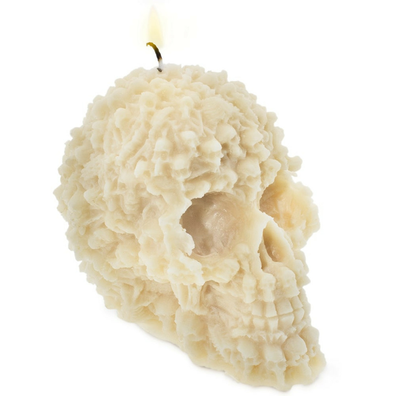 Skull mold with bones