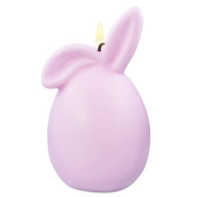 Stiff and drooping ear rabbit mold Stiff and drooping ear rabbit mold