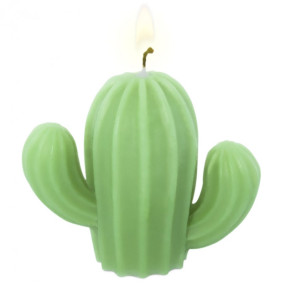 Desert cactus mold Desert cactus mold