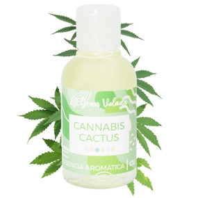 Essence gv canabis cactus Essence gv canabis cactus