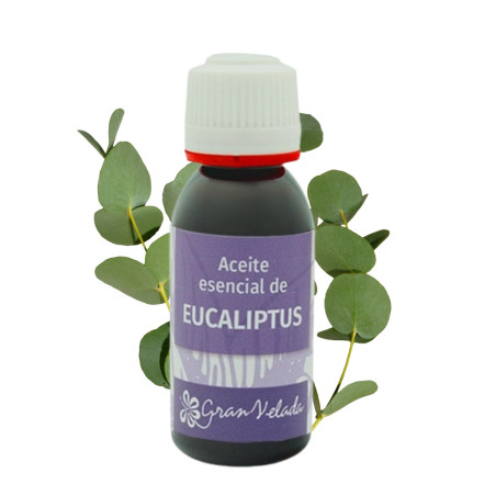 Aceite Esencial Eucalipto