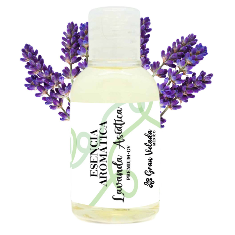 Aroma Lavanda Asiática premium