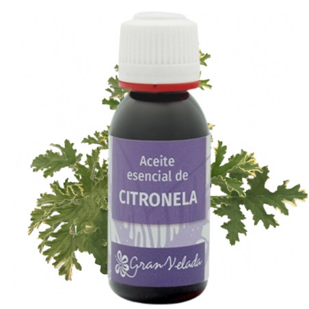 Aceite Esencial de Citronela