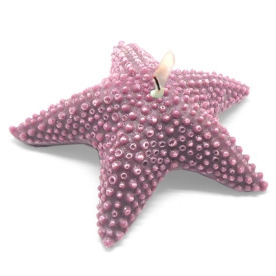 Sea fluffy star mold to make your own candles.