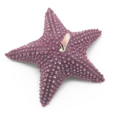 Starfish mold for making candles.