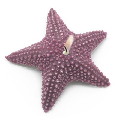 Molde de estrella de mar para hacer velas.