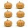 Mold mini pumpkins halloween
