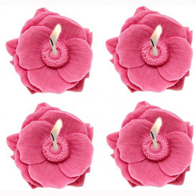 Candle Mold 4 Oriental Poppies Candle Mold 4 Oriental Poppies