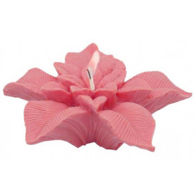 Molde para velas flor de pascua grande Molde para velas flor de pascua grande