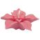 Mold candles poinsettia