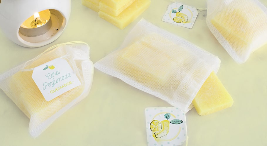 Packaging for scented wax